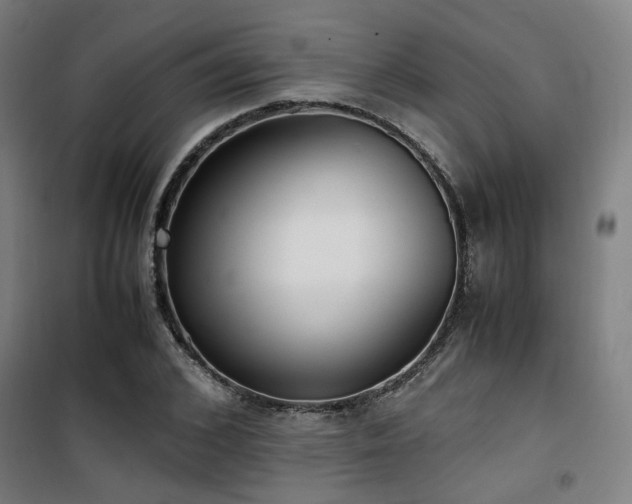 X0000101660976200807101250