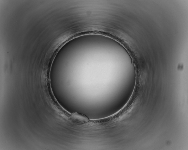 X0000101660977200807101250