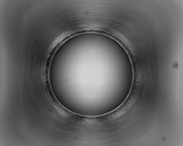 X0000101660978200807101250