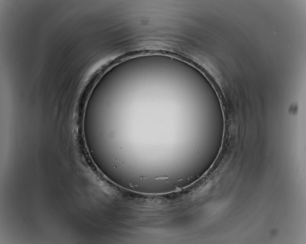 X0000101660979200807101250