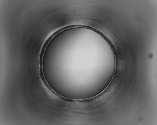 X0000101660980200807101250