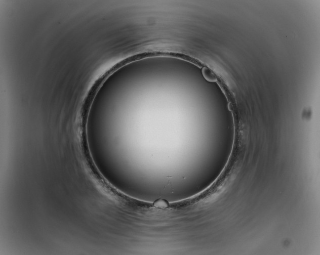 X0000101660981200807101250