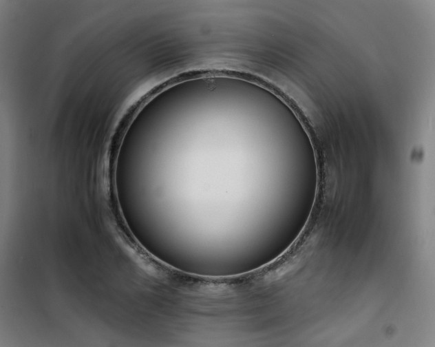 X0000101660982200807101250