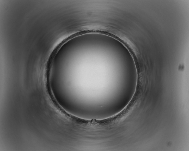 X0000101660983200807101250