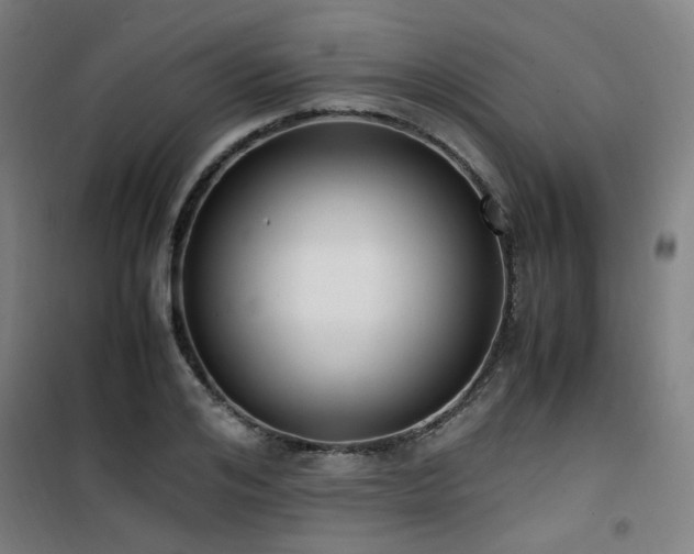 X0000101660984200807101250