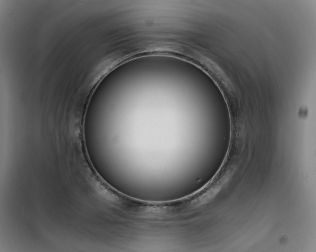 X0000101660985200807101250