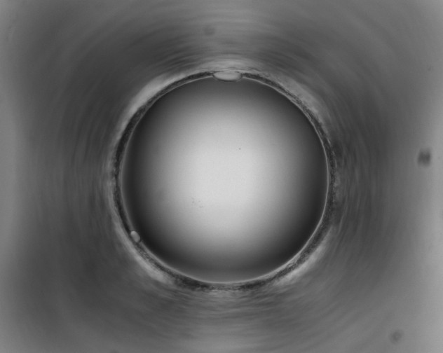 X0000101660989200807101250