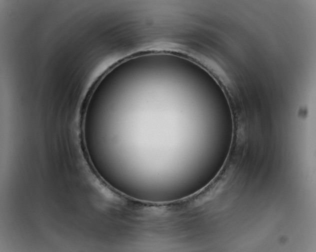 X0000101660990200807101250