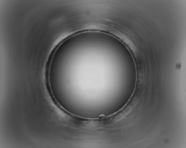 X0000101660991200807101250