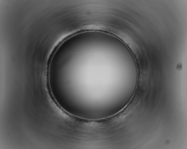 X0000101660992200807101250