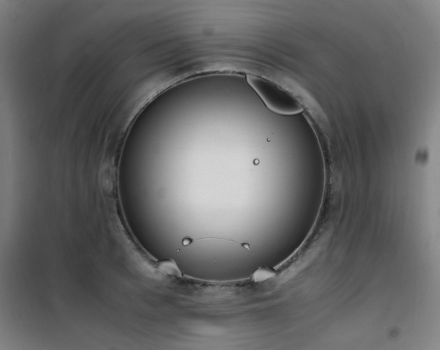 X0000101660993200807101250