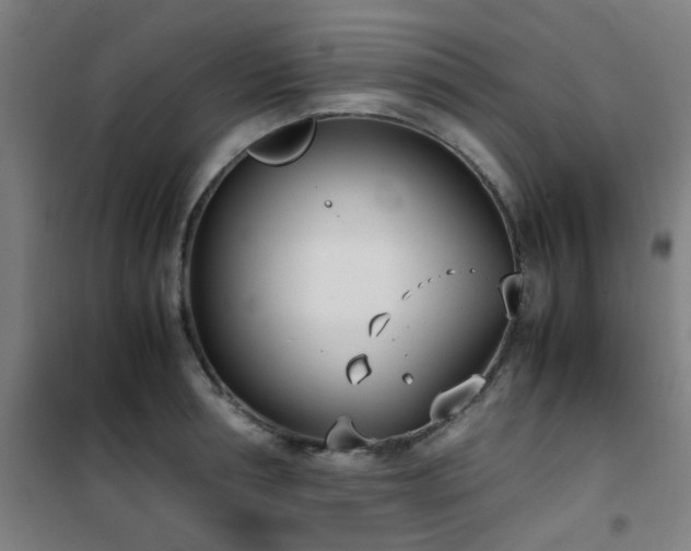 X0000101660994200807101250