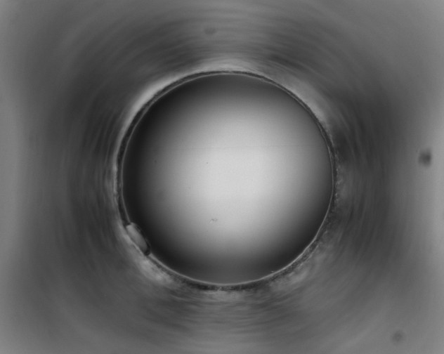 X0000101660996200807101250