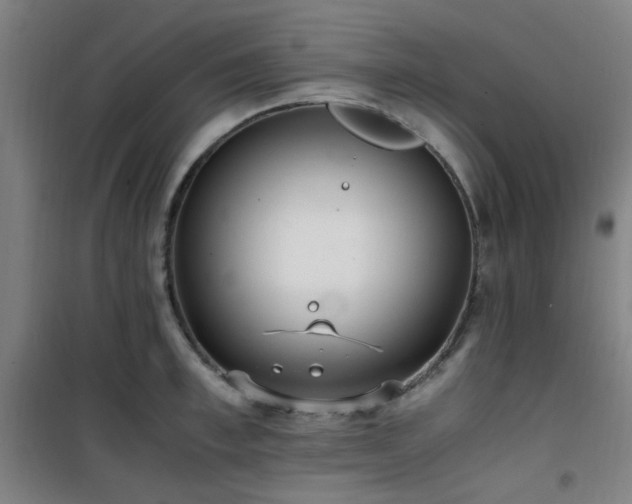 X0000101660997200807101250