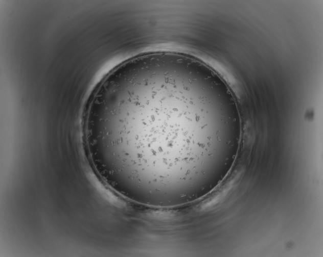 X0000101660998200807101250