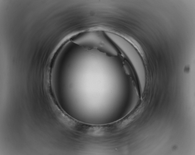 X0000101661000200807101250