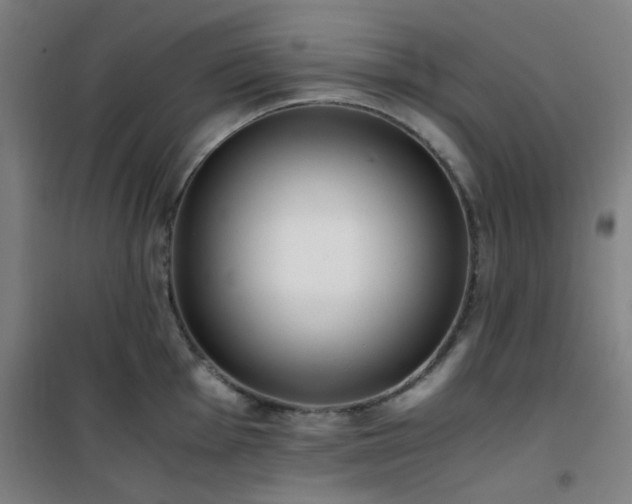 X0000101661001200807101250