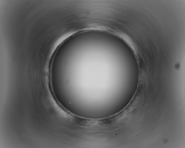 X0000101661003200807101250