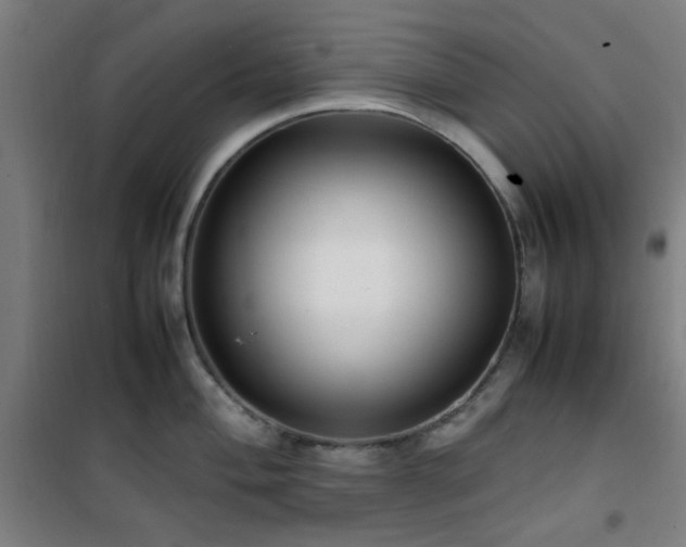 X0000101661004200807101250