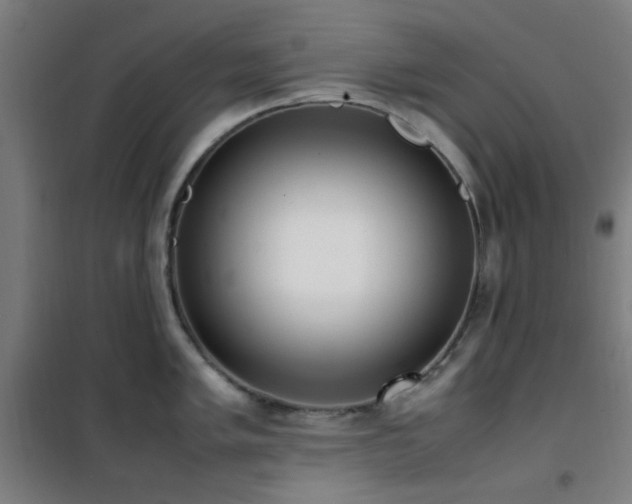 X0000101661005200807101250