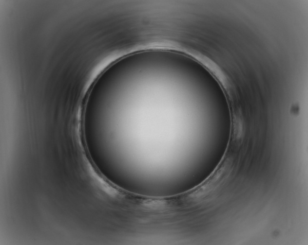 X0000101661006200807101250