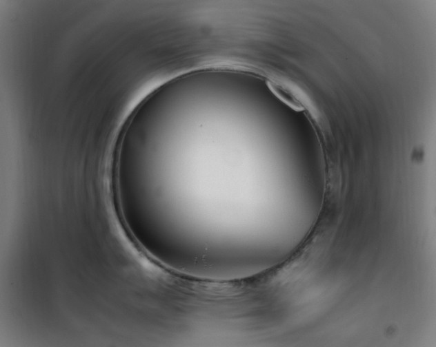 X0000101661007200807101250