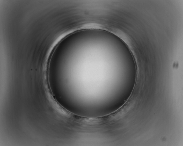 X0000101661008200807101250