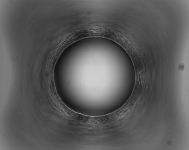 X0000101661009200807101249