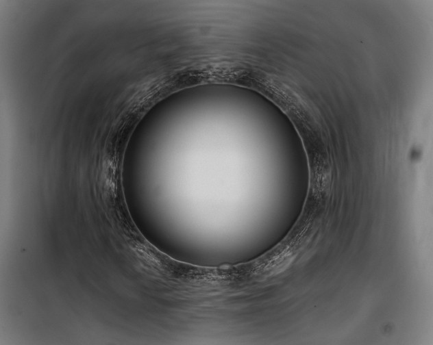 X0000101661010200807101249