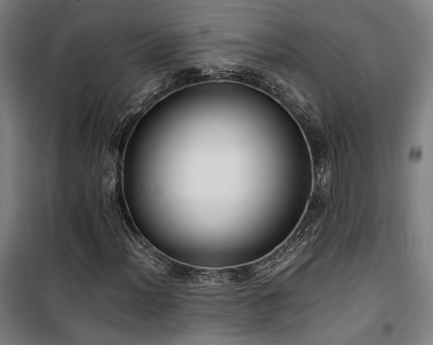 X0000101661012200807101249