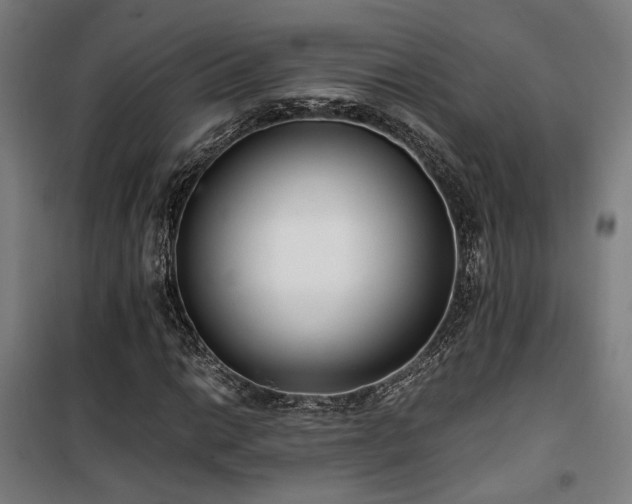 X0000101661014200807101249