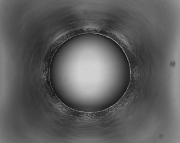 X0000101661015200807101249