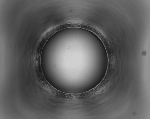 X0000101661016200807101249