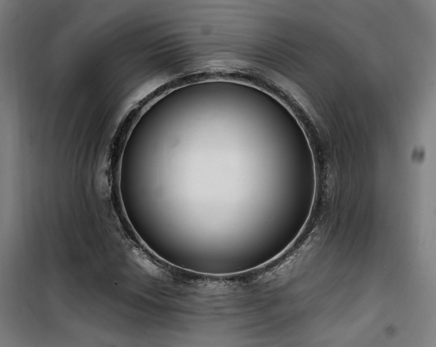 X0000101661018200807101249