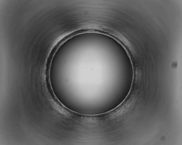 X0000101661020200807101249