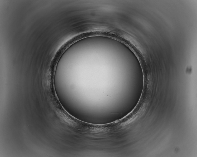 X0000101661021200807101249