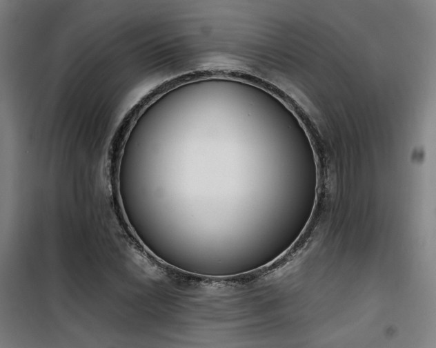 X0000101661022200807101249