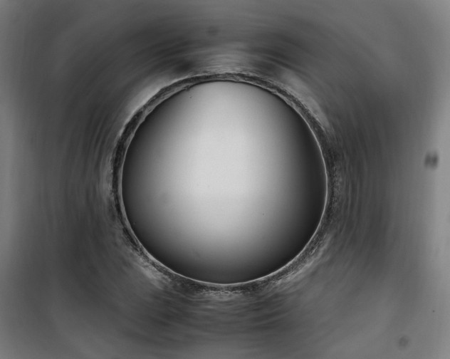 X0000101661023200807101249