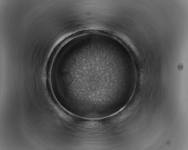 X0000101661024200807101249