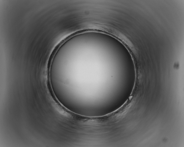 X0000101661028200807101249