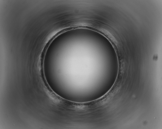 X0000101661031200807101249