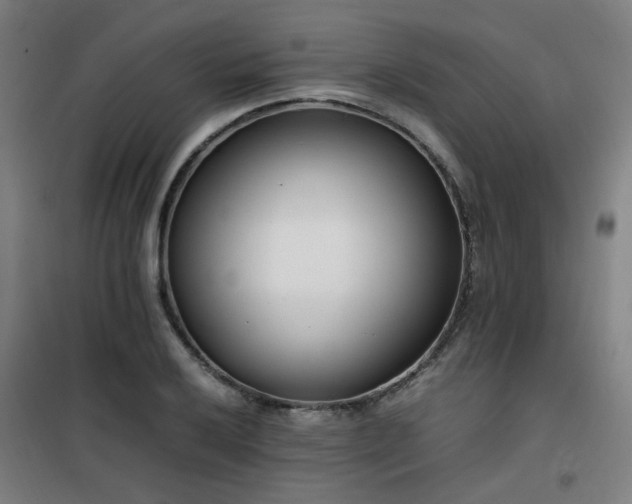 X0000101661032200807101249