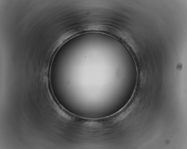 X0000101661033200807101249