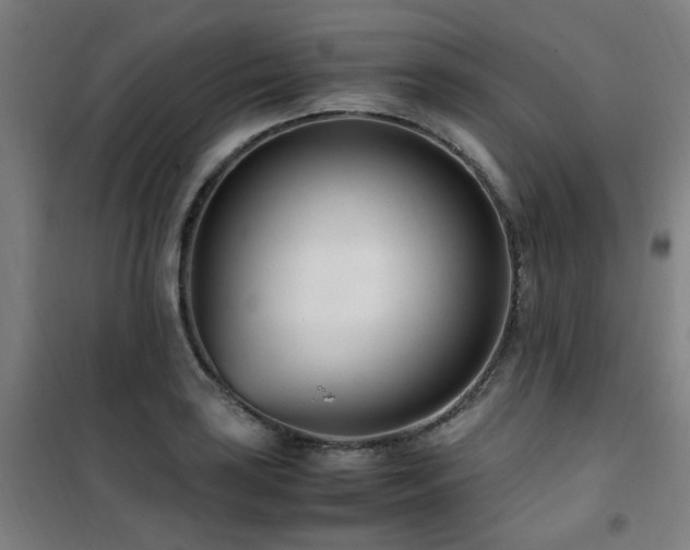 X0000101661035200807101249