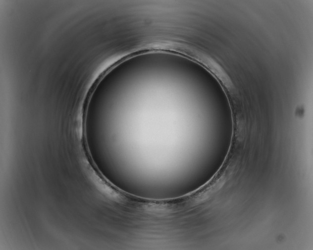 X0000101661036200807101249