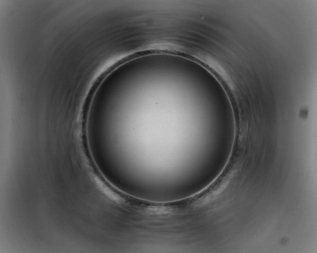 X0000101661037200807101249