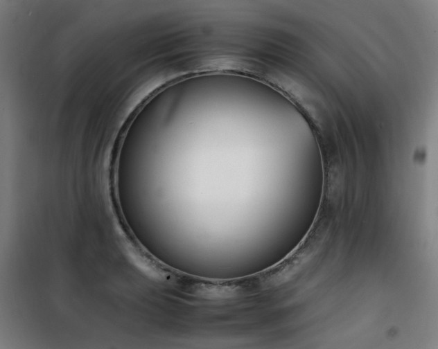 X0000101661039200807101249