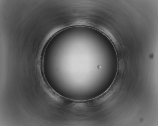 X0000101661043200807101249