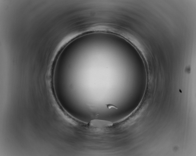 X0000101661045200807101249