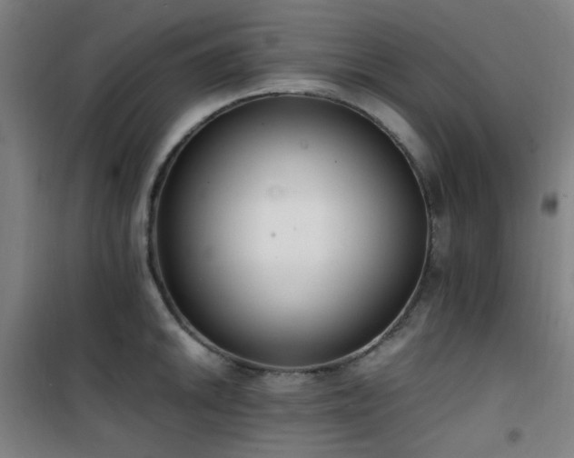 X0000101661046200807101249